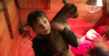 DE FERME EN FERME 2019 : Evénement Alpes Maritimes à proximité du camping Les Rives du Loup du 27 & 28 Avril
