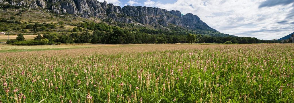 Camping nature dans les alpes maritimes